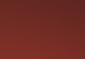 Cardinal