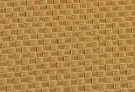 SP Buckskin SP Buckskin